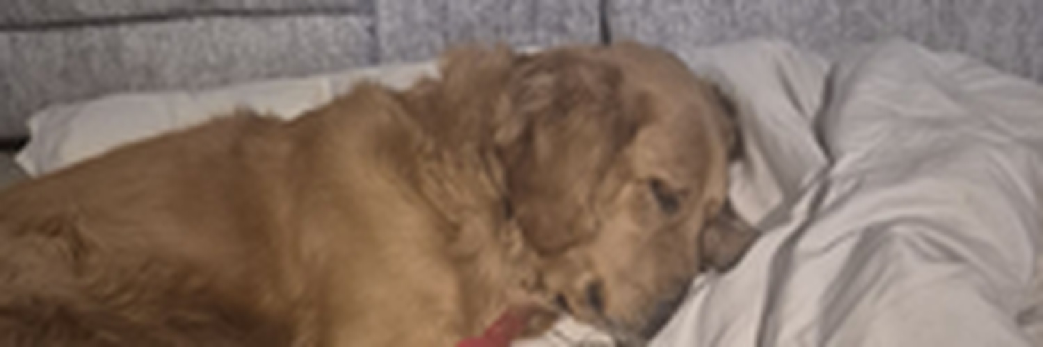 itsdanrivers's profile banner image