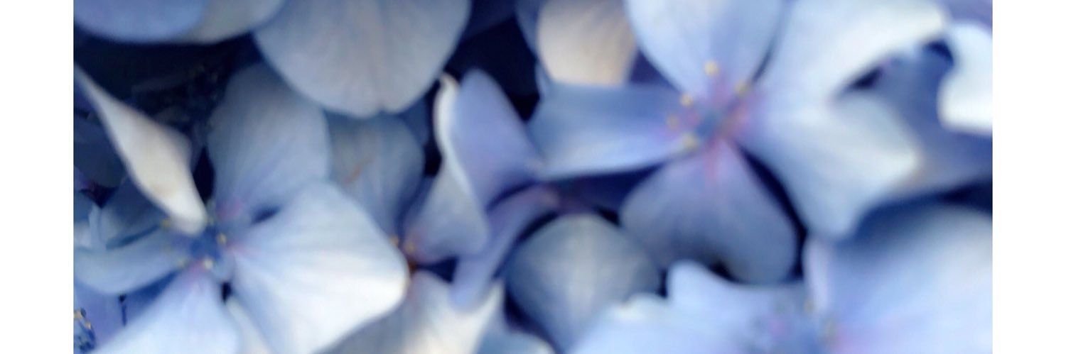 r_s5698's profile banner image