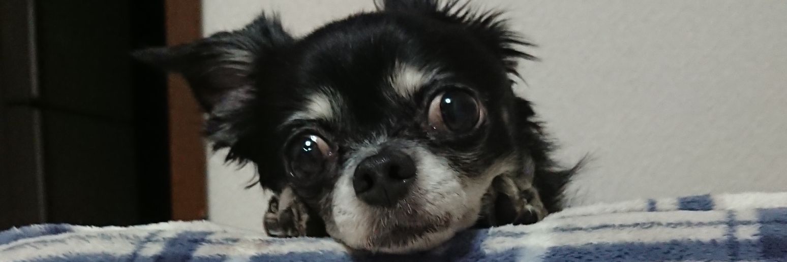 27hiro3_3's profile banner image