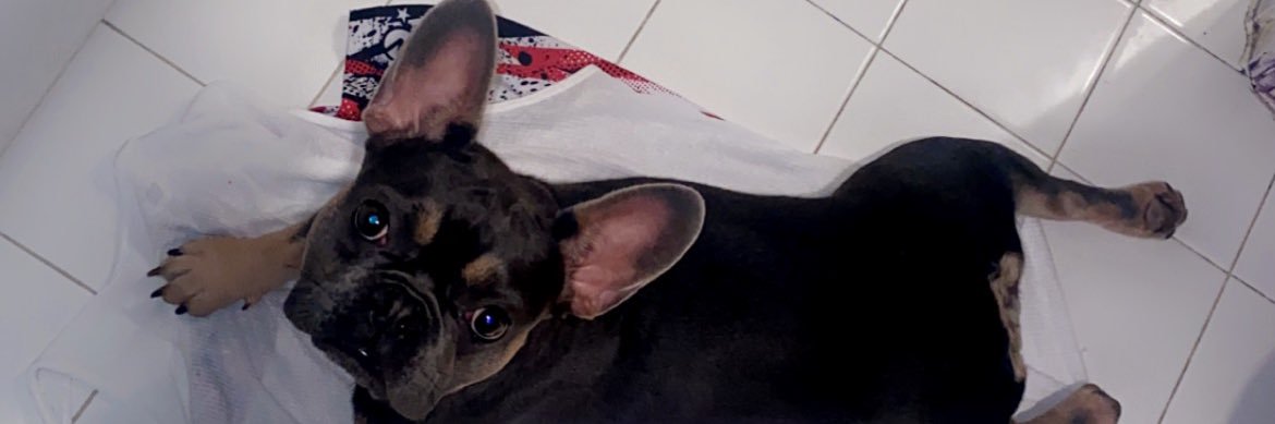 FoolAssGoop's profile banner image