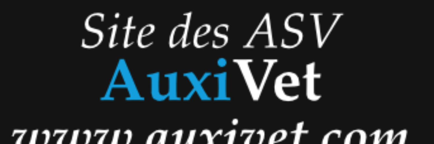 Auxivet's profile banner image
