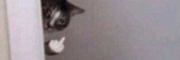 imnewhaven_ Profile Banner