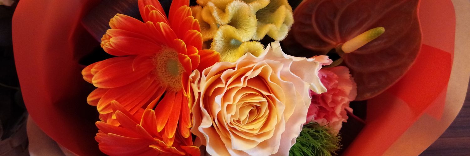 Premaprima's profile banner image