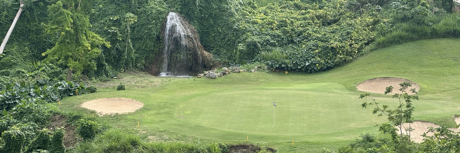 Michael Goodman banner