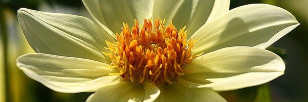 lawhern1 Profile Banner