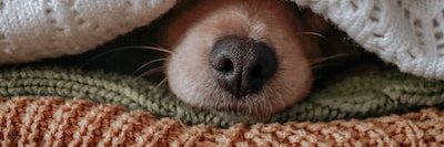 wone banner
