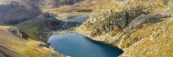 Matxicots Profile Banner