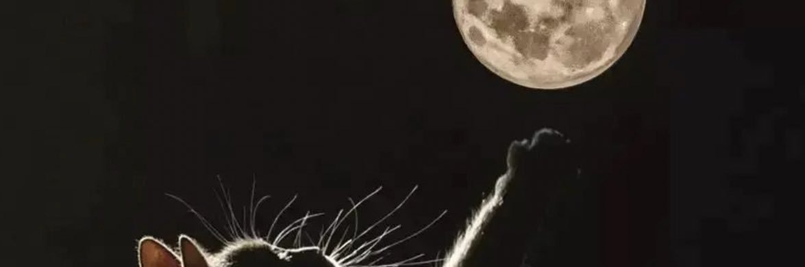 izz_frd's profile banner image