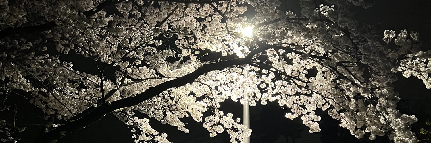 ryupimaru0922's profile banner image