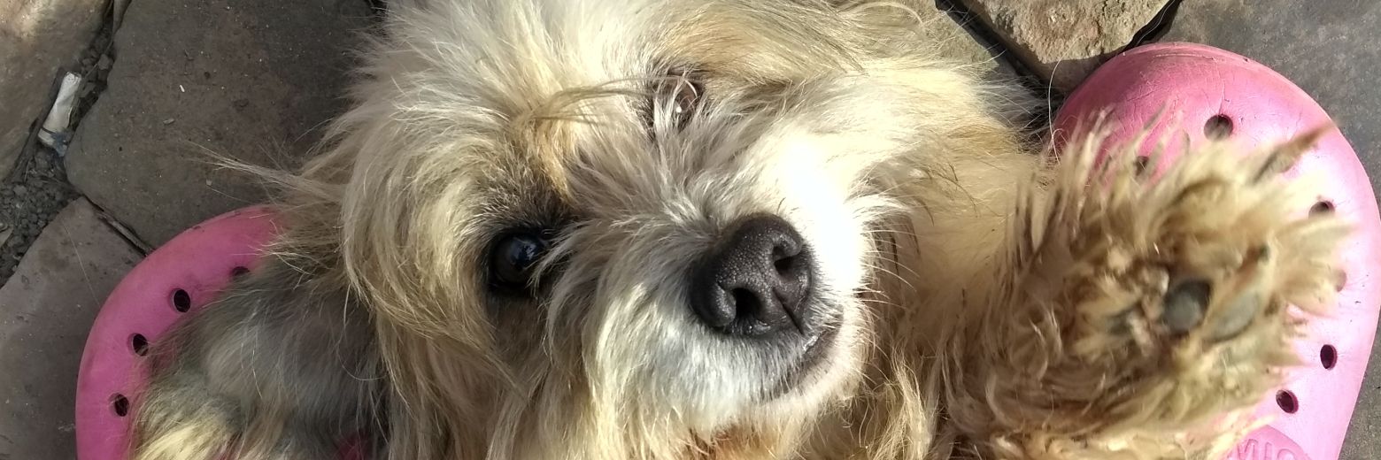 ClariiiCastillo's profile banner image