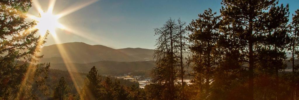 Cheryl Faulkner banner