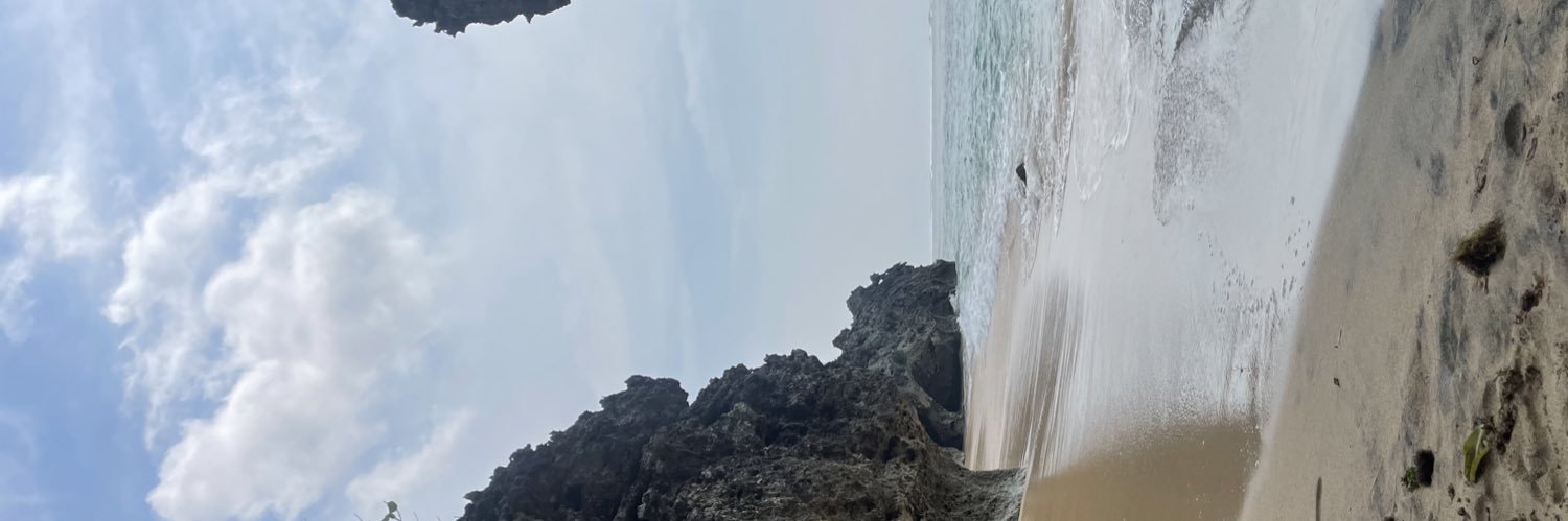 nurulainP's profile banner image