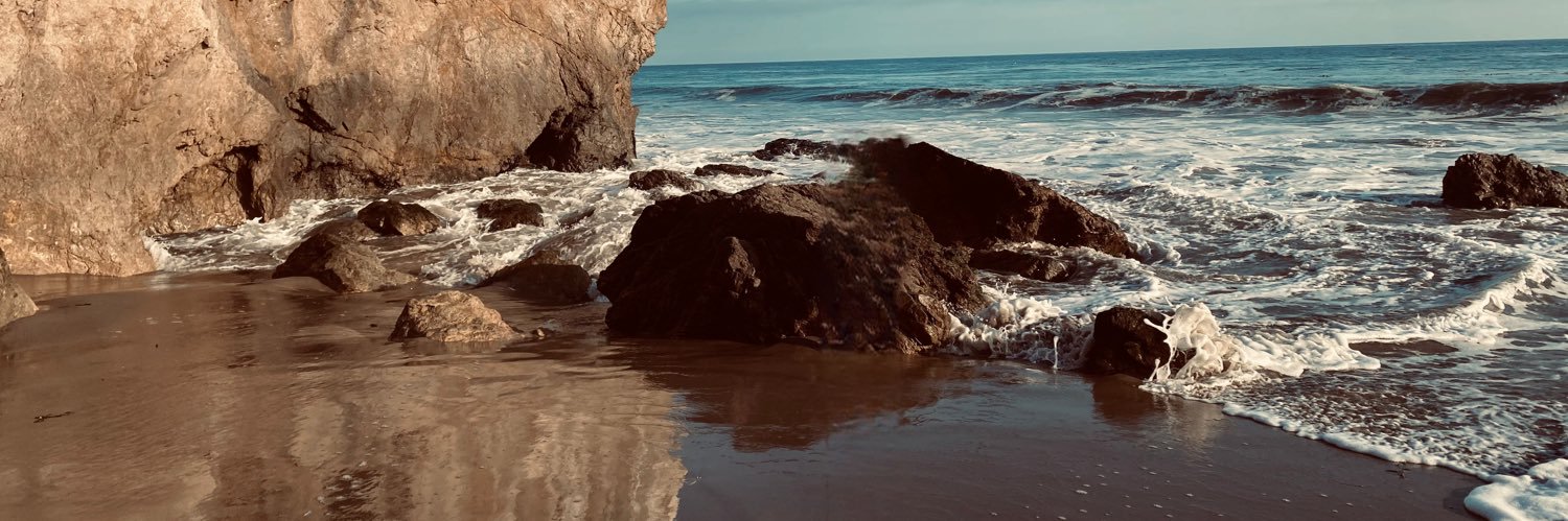 taranix's profile banner image