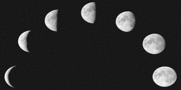 lovatocrgdr's profile banner image