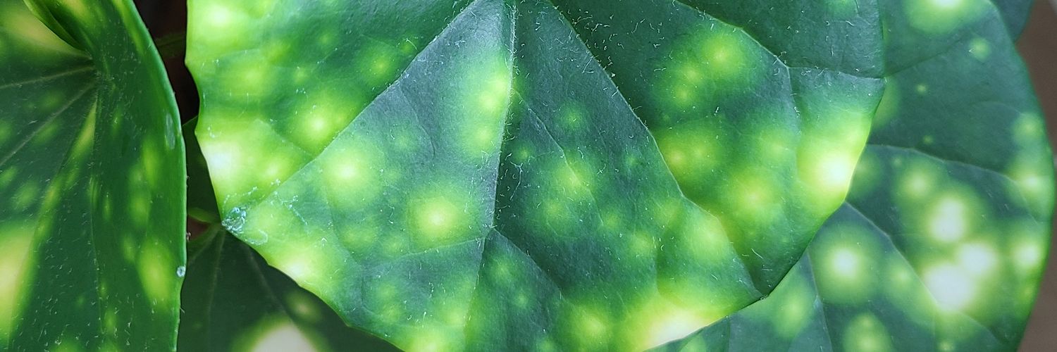 eliseinspace's profile banner image