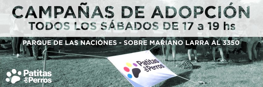 Patitas de Perros banner