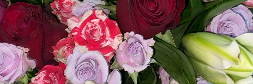 fatimaa_hm's profile banner image
