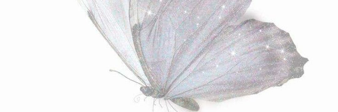 Sandy_Anwar22's profile banner image