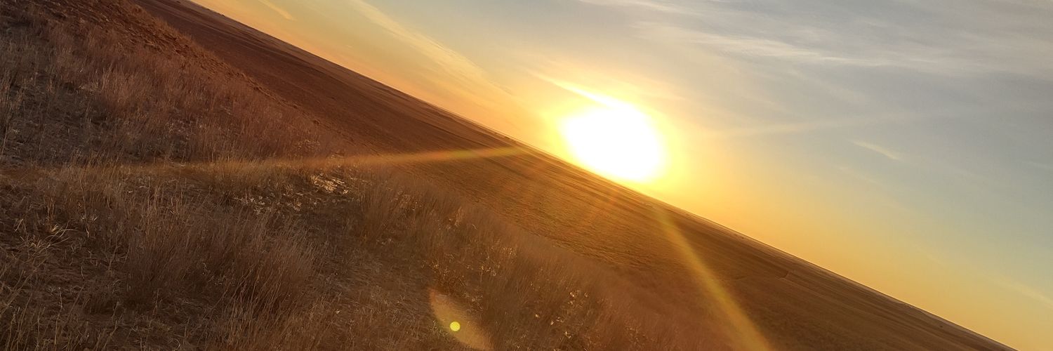AlvaroooAlvarez's profile banner image