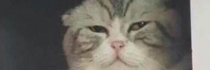 Fluk_nn's profile banner image