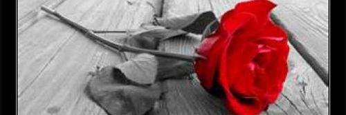 2008Escalona's profile banner image