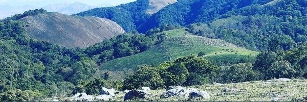 DukeSithovha's profile banner image