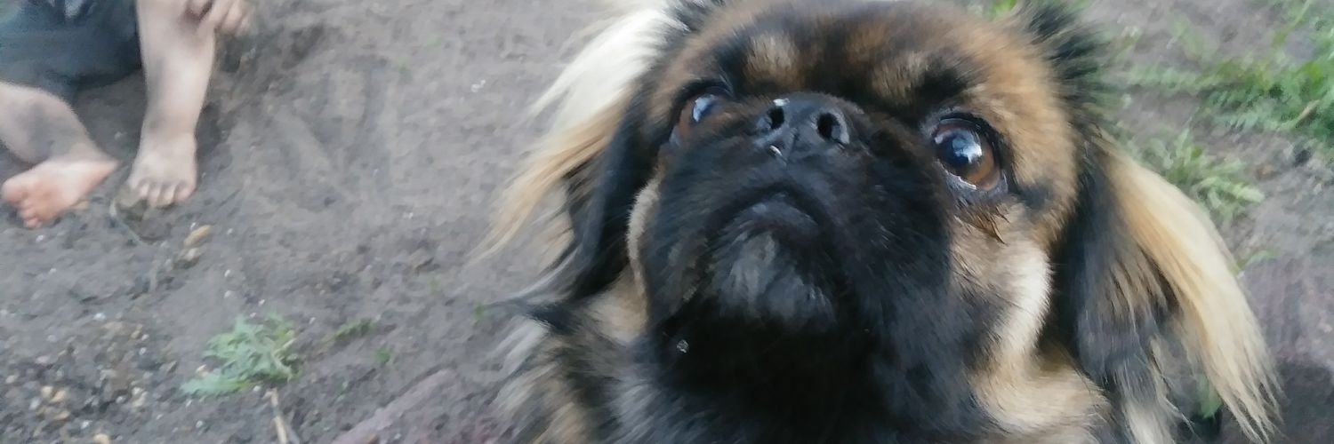 Rowan_za_boat's profile banner image