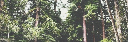 exoticrawford's profile banner image