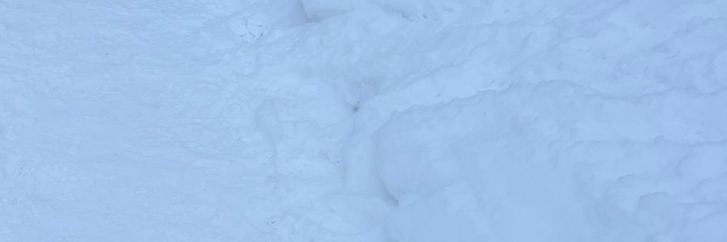 gomigomi1122's profile banner image