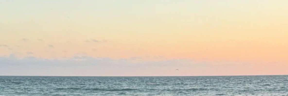 migmirg's profile banner image