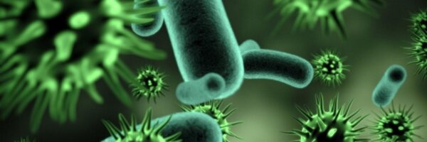 gastrodocmattar Profile Banner