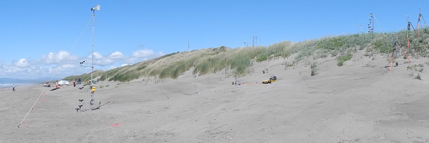 Ian J. Walker banner