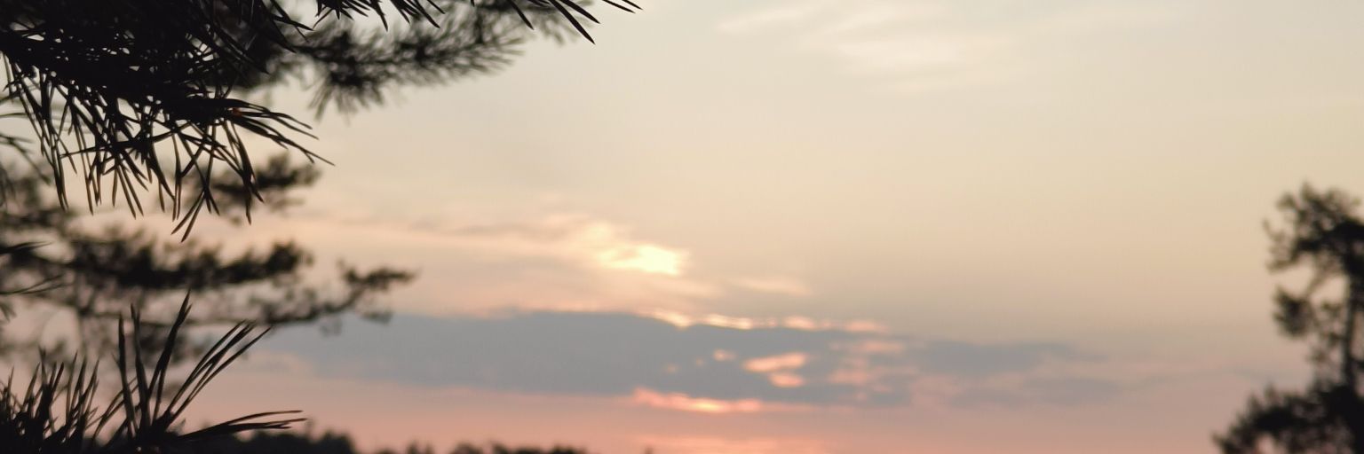 Konttine's profile banner image
