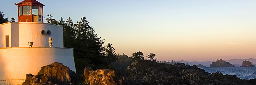 tlou2's profile banner image