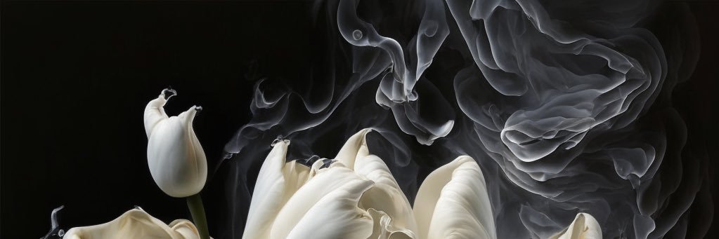 BetulGymn's profile banner image