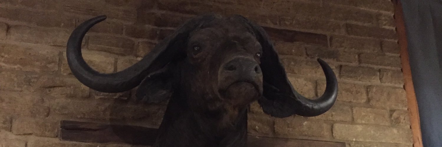 L1NTEN's profile banner image