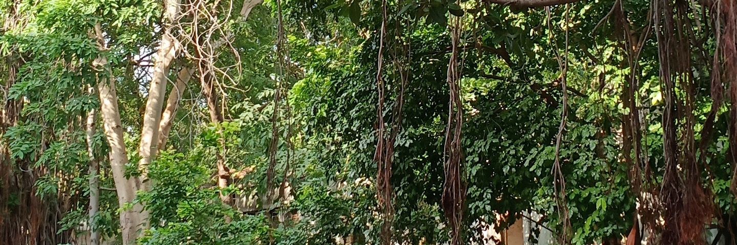 lavinajain4's profile banner image