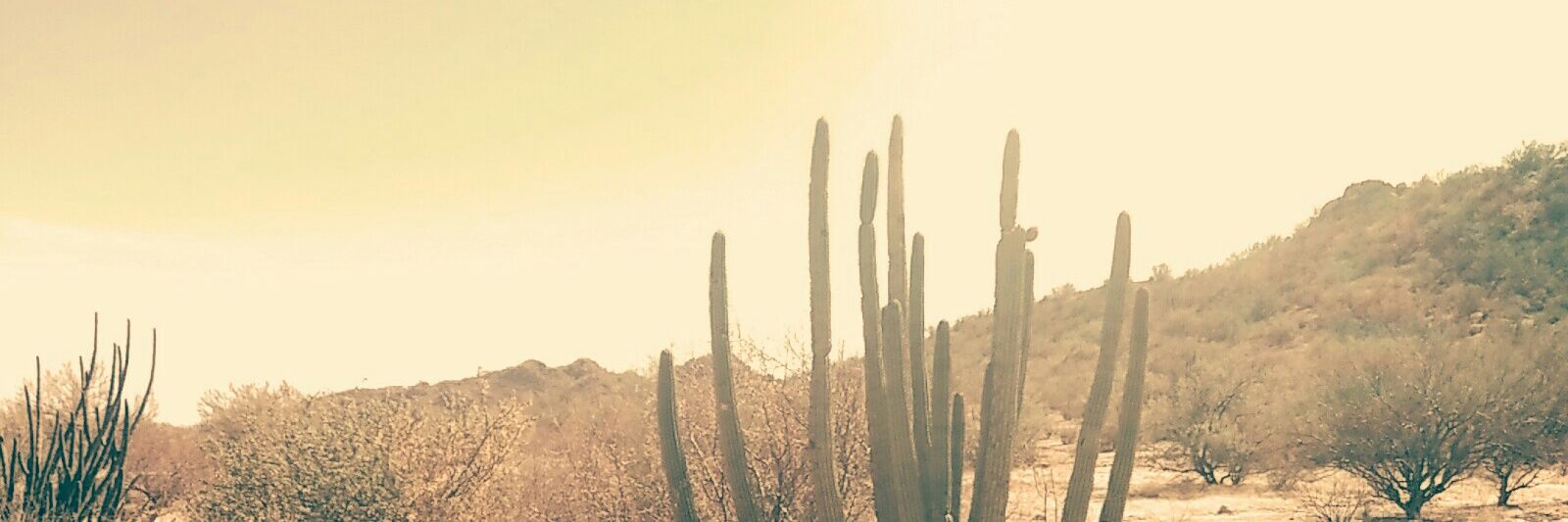 julianleon89's profile banner image