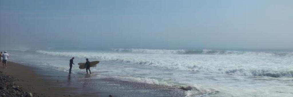 Colleen Doyle banner