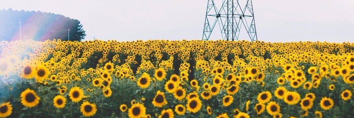 lucy_biles's profile banner image