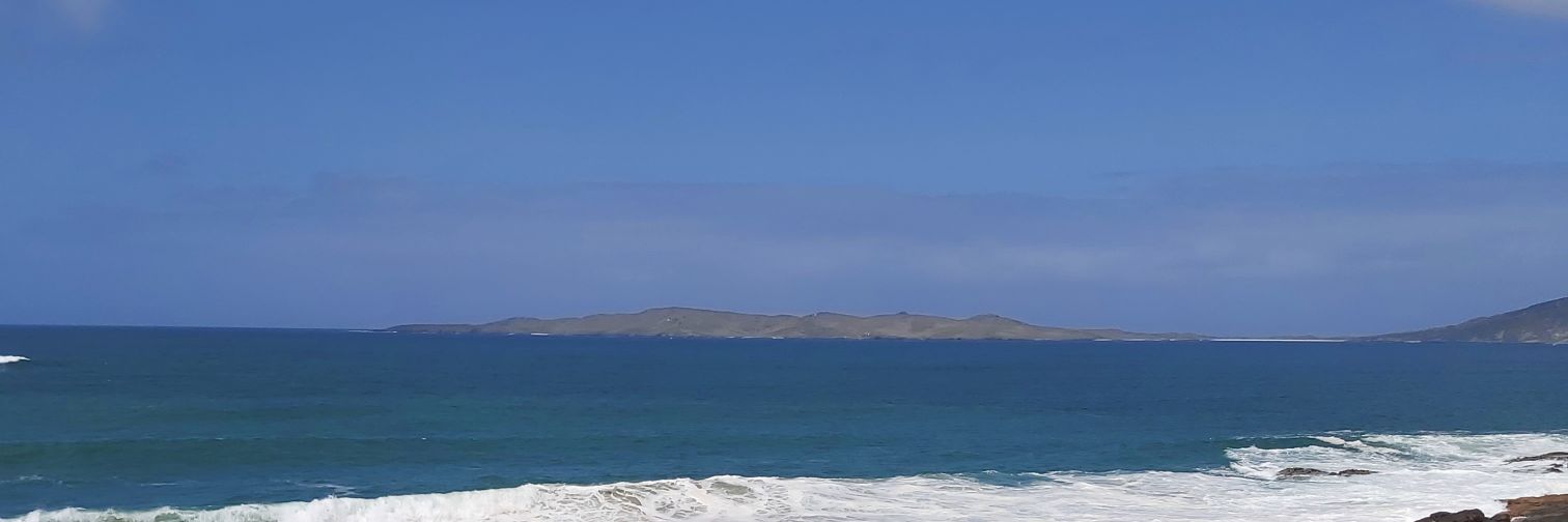 George Allison 🇿🇲🏴󠁧󠁢󠁳󠁣󠁴󠁿🇺🇦 banner