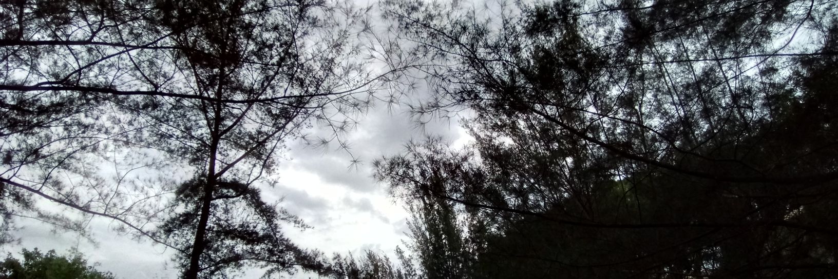 blurryism's profile banner image