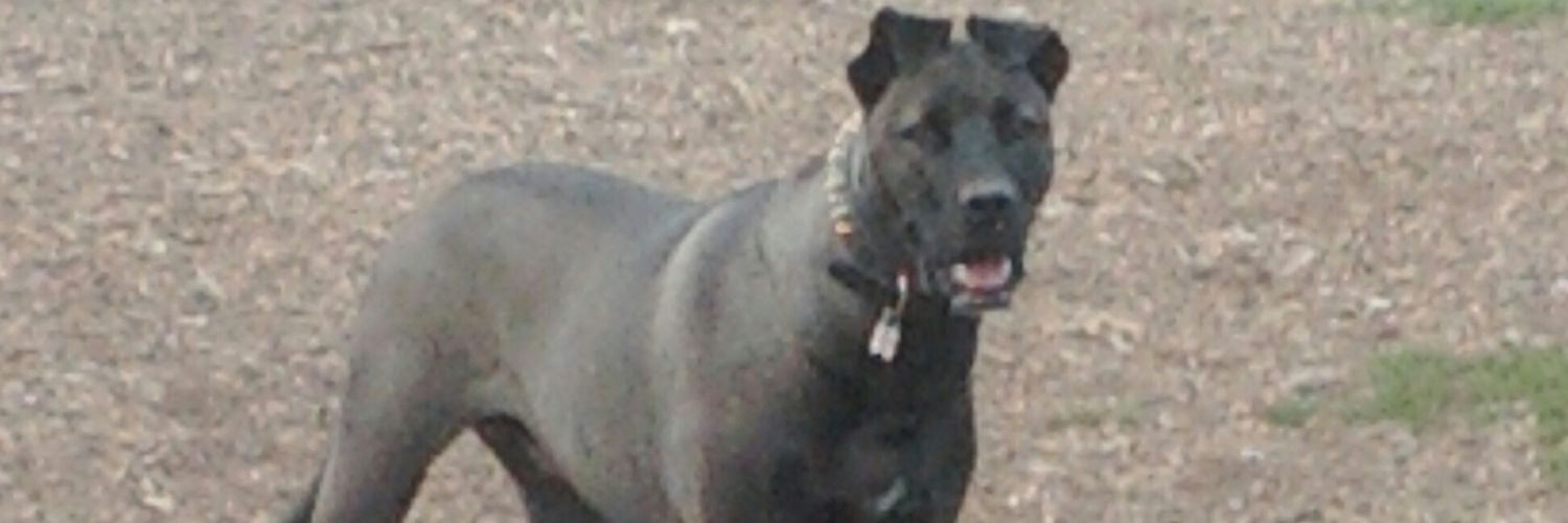 MaryEllen Laursen banner