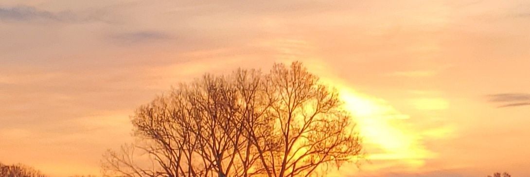 jenlapoint's profile banner image
