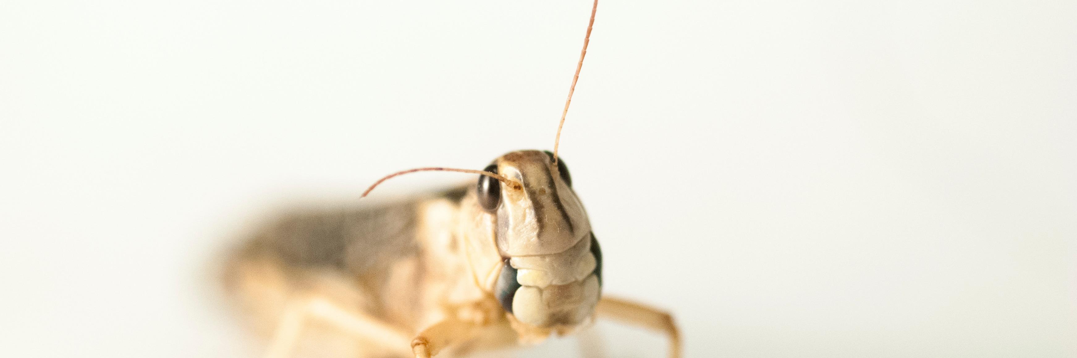 Heath MacMillan banner