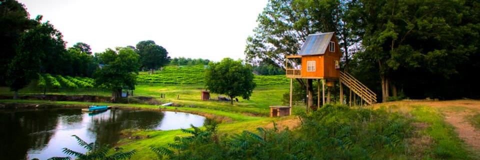 Treehouse Vineyards banner