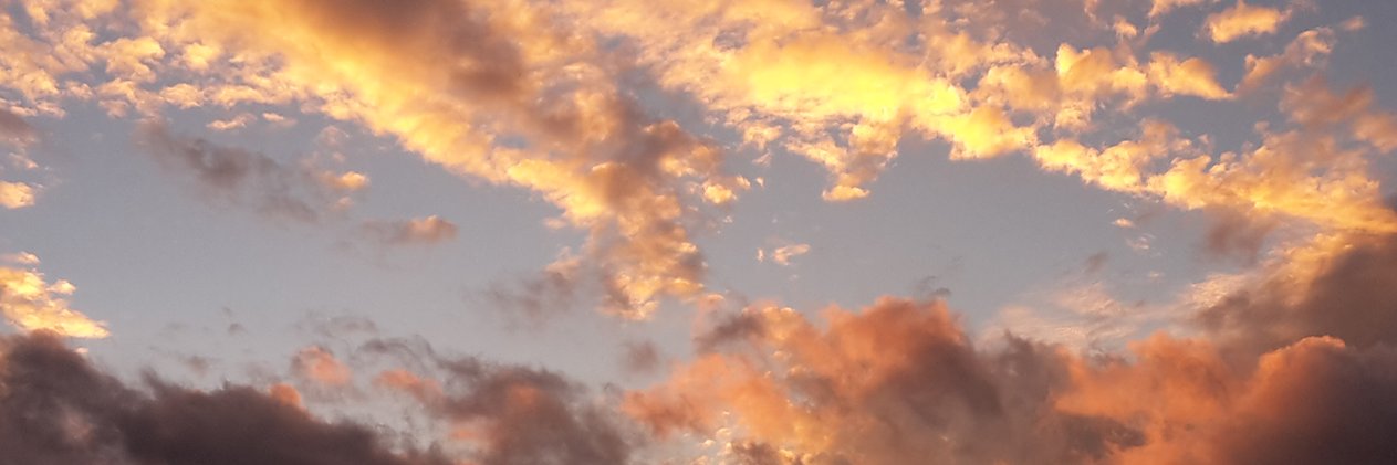 crmsnsally's profile banner image