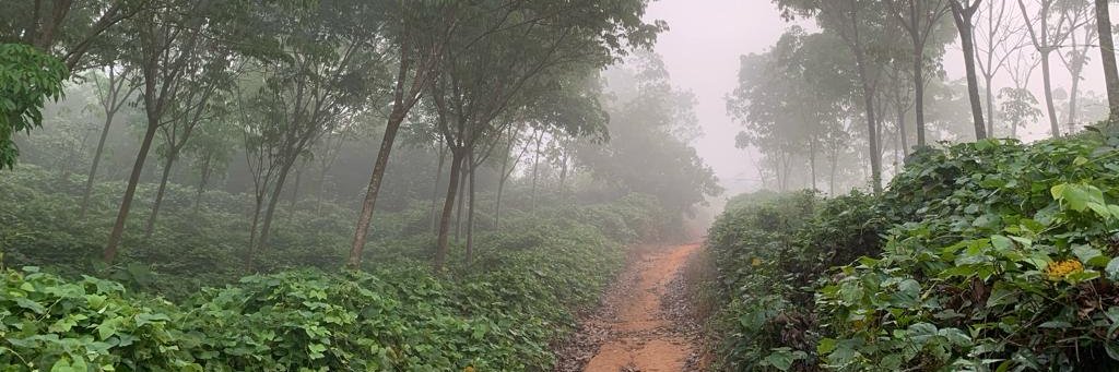mohanbalnad's profile banner image