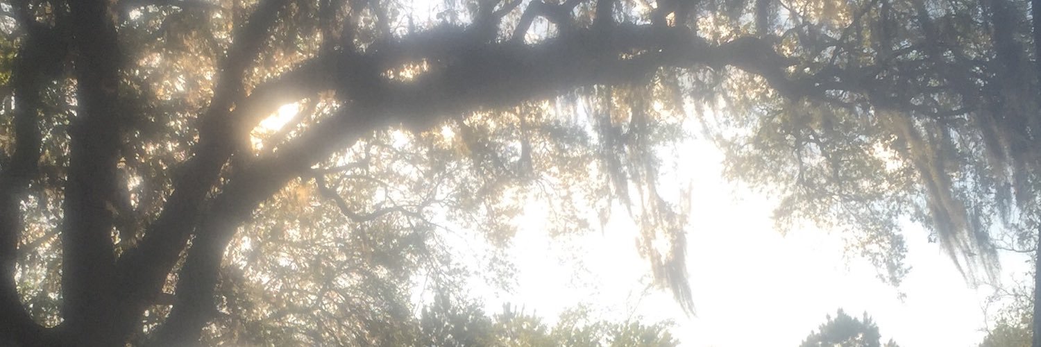 TheSkinGoddess's profile banner image