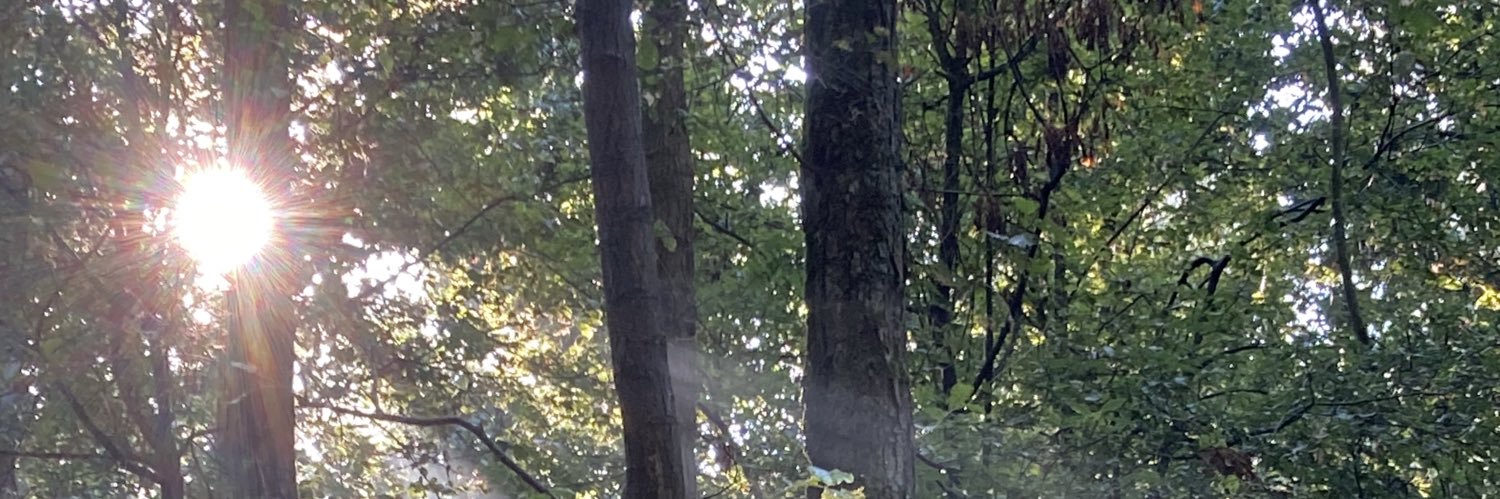 JoseDerksen's profile banner image